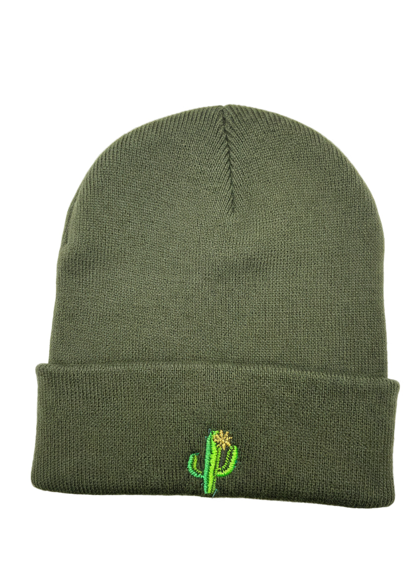 Cactus Beanie 🌵