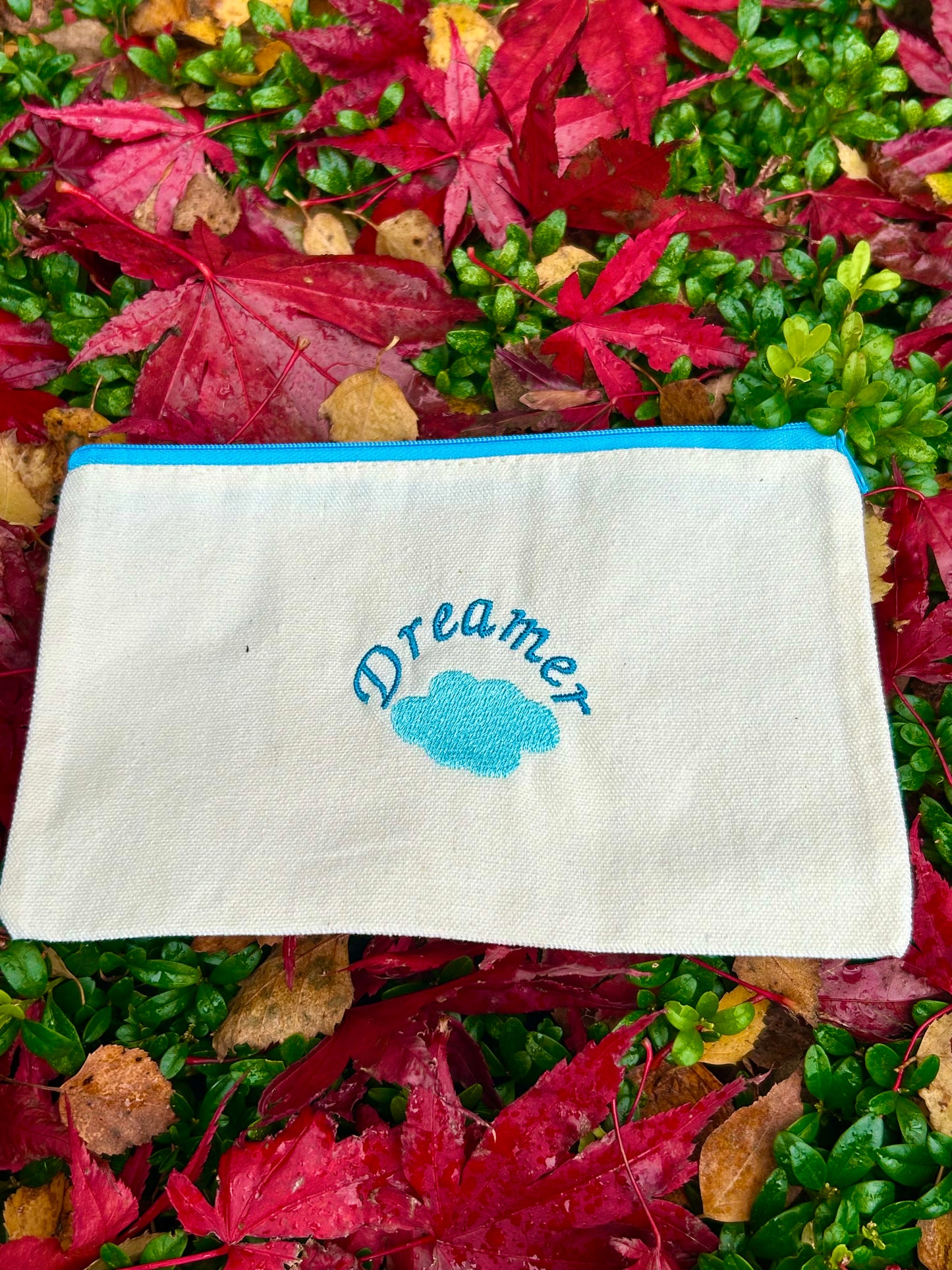 Dreamer Zipper Pouch