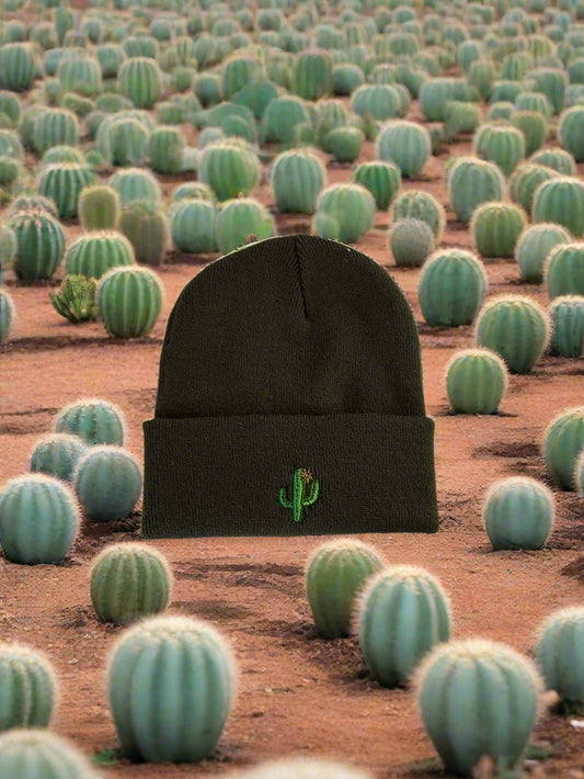 Cactus embriodery beanie 🌵
