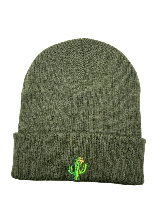 Cactus Beanie 🌵